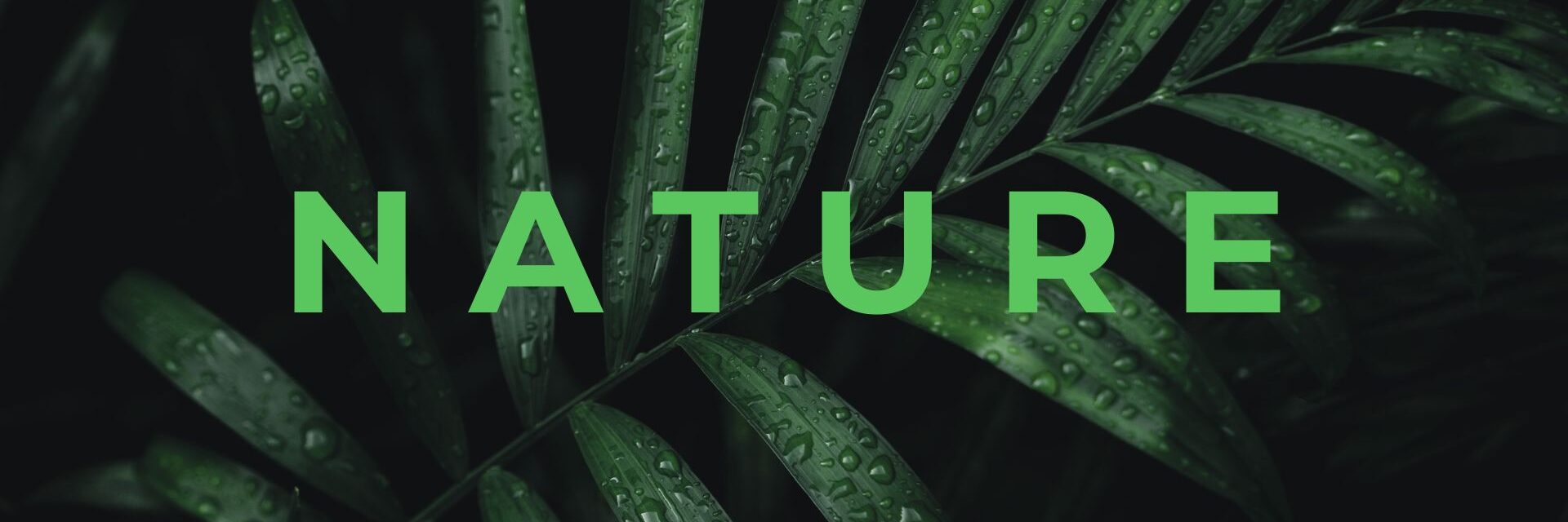 Nature Site slideshow Nature Site slideshow